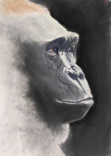 Gorilla, Soft Pastel on Wallis Paper, 12x18, 2006.