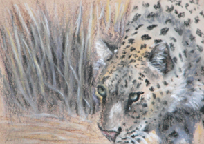Leopard, Pastel, 2006.