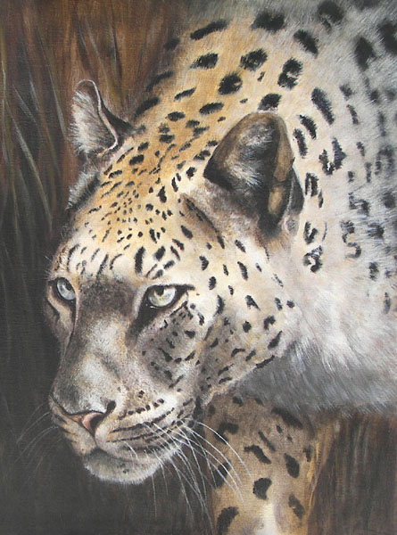Leopard in the Grass, Acrylics, 16x20, 2006.