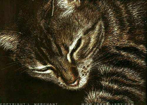 Nala in Repose, Scratchboard, 5x7, 2006.
