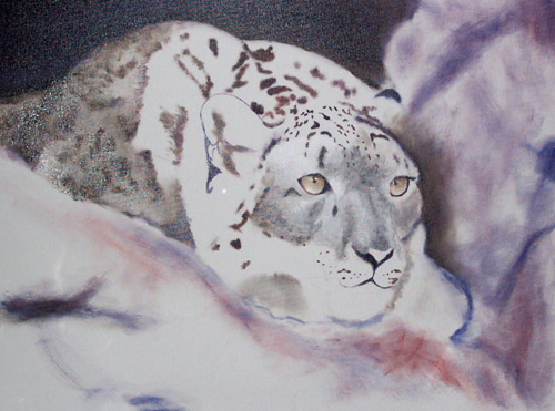 Snow Leopard, Oils, 18x24, 2007.