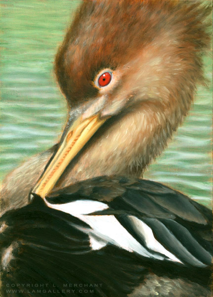 Red Eye, Oils, 5x7, 2007. 