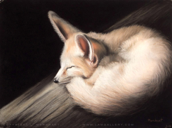 Fox, Soft Pastel, 2007.