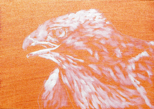 Hawk, Oils, 5x7, 2007.