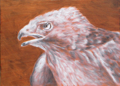 Hawk, Oils, 5x7, 2007.