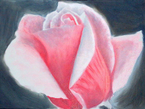 Rose Macro, Oils, 18x24, 2007.