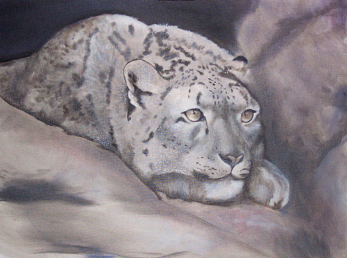 Snow Leopard, Oils, 18x24, 2007.