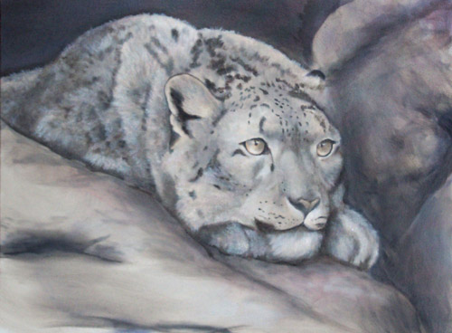 Snow Leopard, Oils, 18x24, 2007.