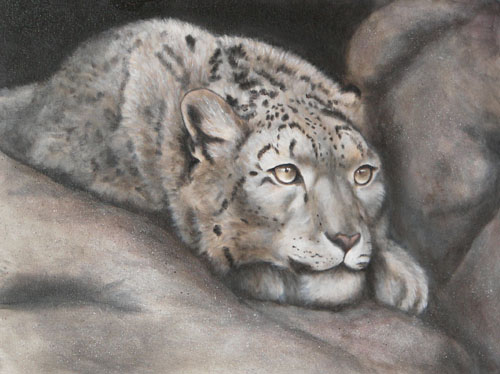 Snow Leopard, Oils, 18x24, 2007.