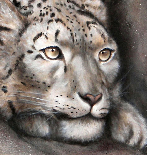 Snow Leopard, Oils, 18x24, 2007.