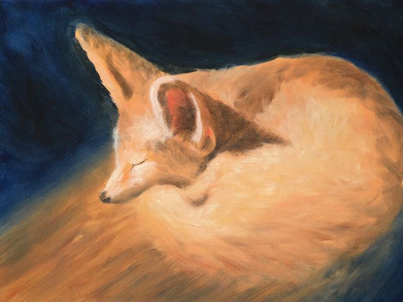 Kit Fox, Oil, 2009.