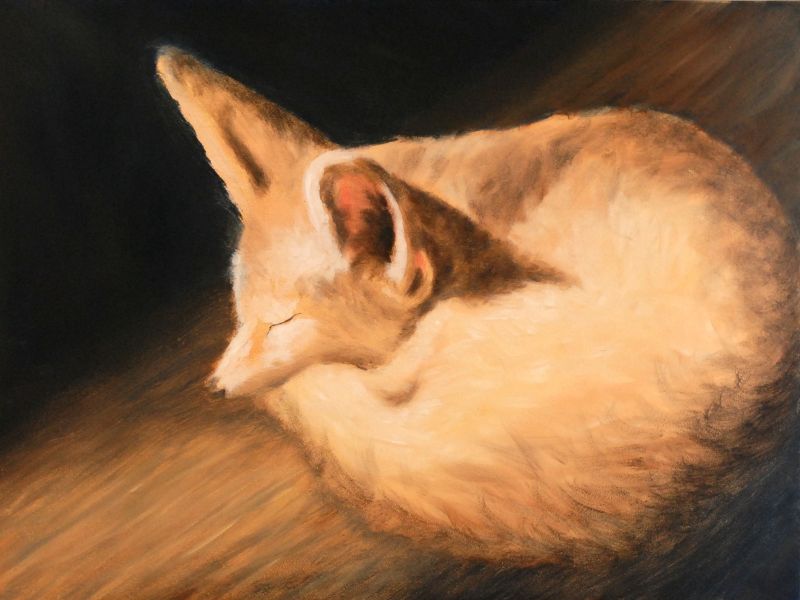 Kit Fox, Oil, 2009.