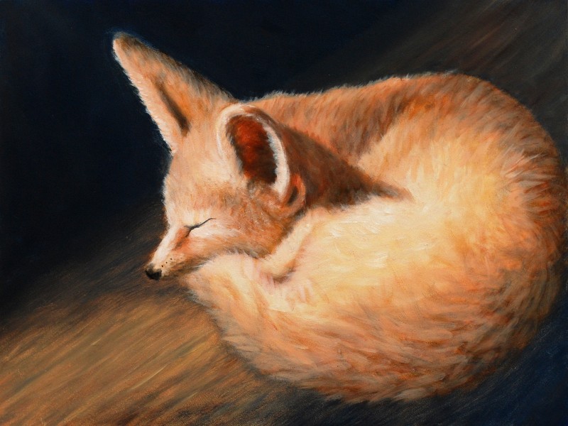 Kit Fox, Oil, 2009.
