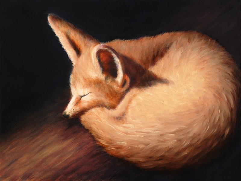 Kit Fox, Oil, 2009.