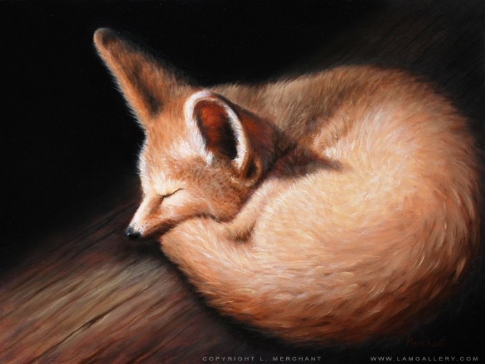 Kit Fox, v.2, Oils on Gessobord, by Linda Merchant, 2009.