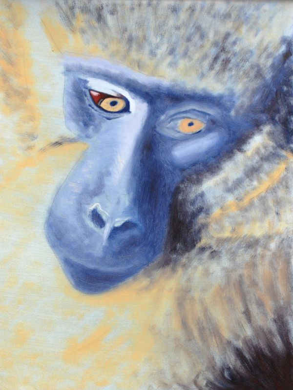 Golden Monkey, Oil, 2009.