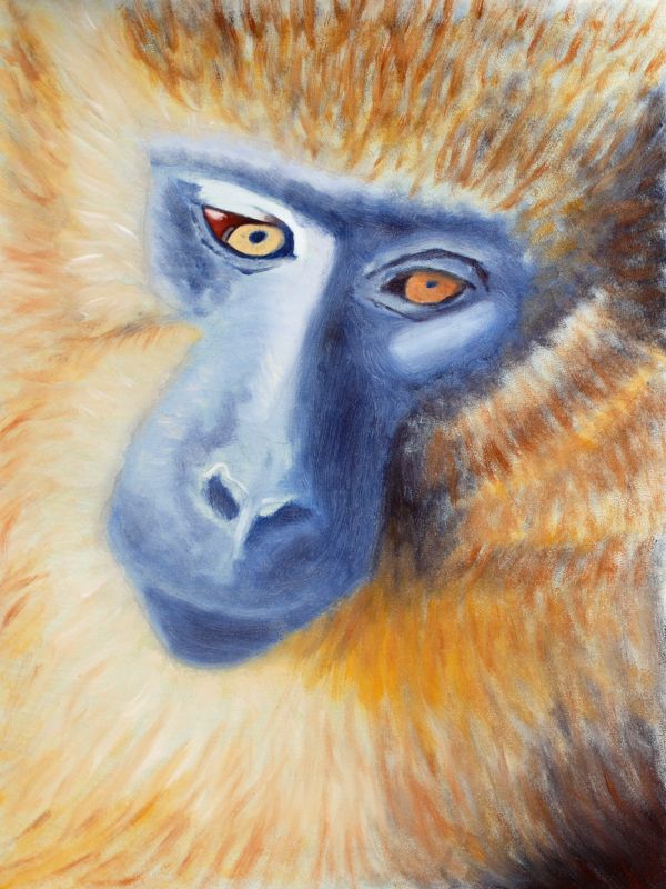 Golden Monkey, Oil, 2009.