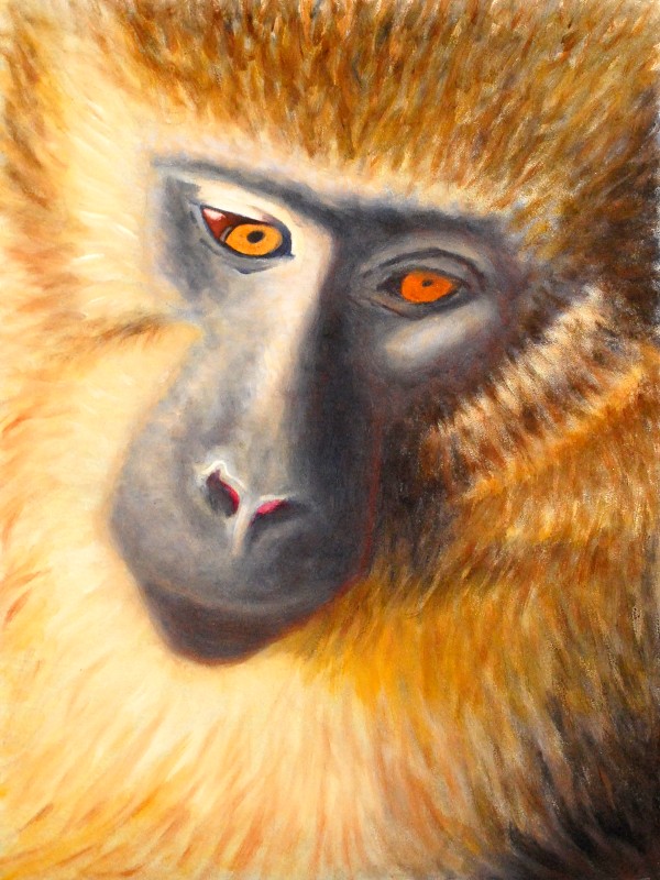 Golden Monkey, Oil, 2009.