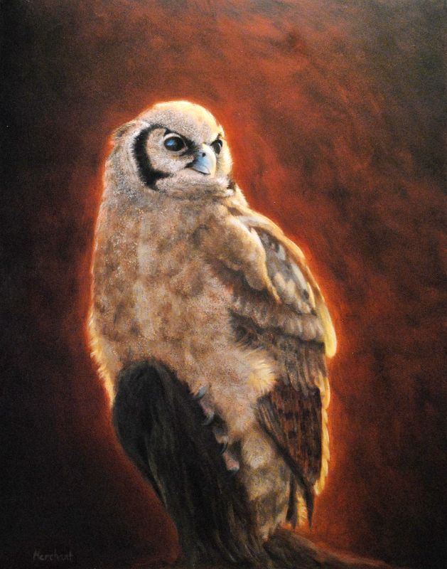 Owl, Oil, 2009.