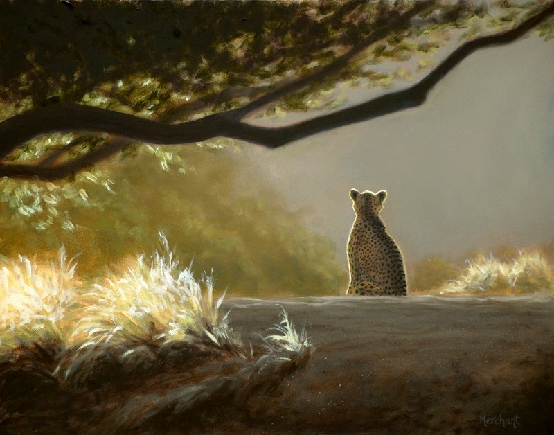 Keeping Watch- Cheetah, Oil on Panel, 11x14, 2011.