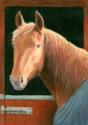 Chestnut, Colored Pencil on Stonehenge paper, 5x7, 2005. 1st Place, Miniature, HVAA - June 2006