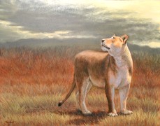 Approaching Storm - Lion Cub, Oil on Panel, 11x14, 2010
