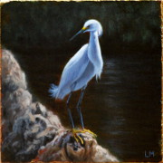 Snowy Egret, Oil on Stone, 2013.