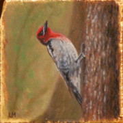 Sapsucker, Oil on Stone, 2013.