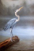 Heron, Oil on Canvas, 24x36, 2015.