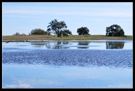 Santa Rosa Plateau